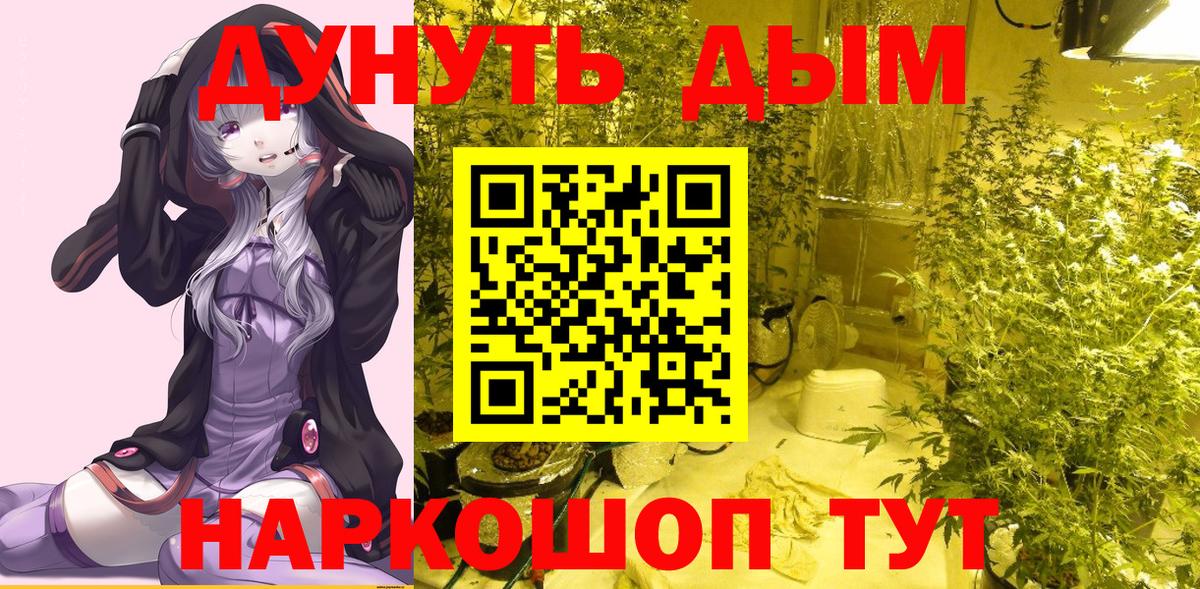 Бошки Шишки конопля Нягань